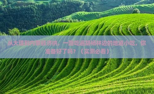 大理到内蒙额济纳胡杨林旅游小吃
