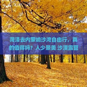菏泽去内蒙响沙湾自由行