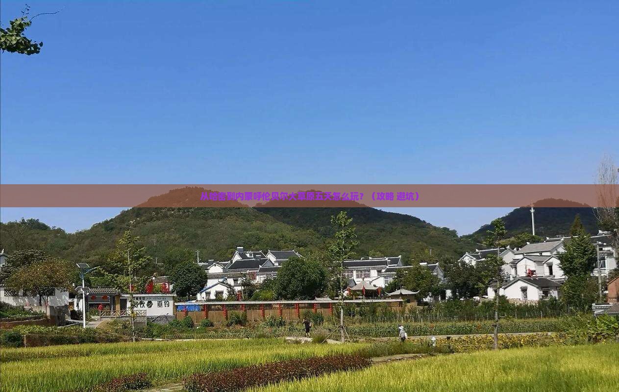 哈密到内蒙呼伦贝尔大草原五日游
