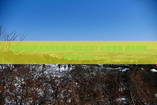 新余到内蒙五当召旅游小吃