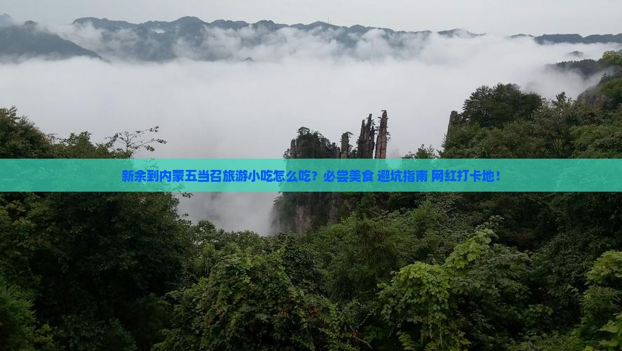 新余到内蒙五当召旅游小吃