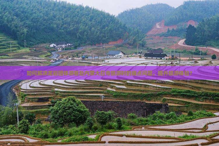 如何解决龙岩团体游客赴内蒙大召寺旅游时的痛点问题，提升旅游体验？