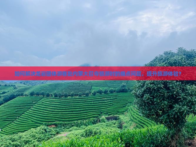 如何解决龙岩团体游客赴内蒙大召寺旅游时的痛点问题，提升旅游体验？