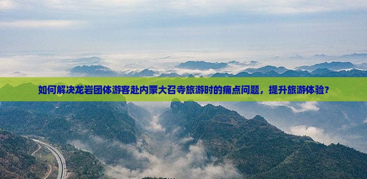 如何解决龙岩团体游客赴内蒙大召寺旅游时的痛点问题，提升旅游体验？
