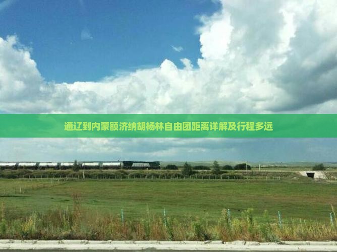 通辽到内蒙额济纳胡杨林自由团距离详解及行程多远