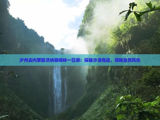 泸州去内蒙额济纳胡杨林一日游：探秘沙漠奇迹，领略自然风光