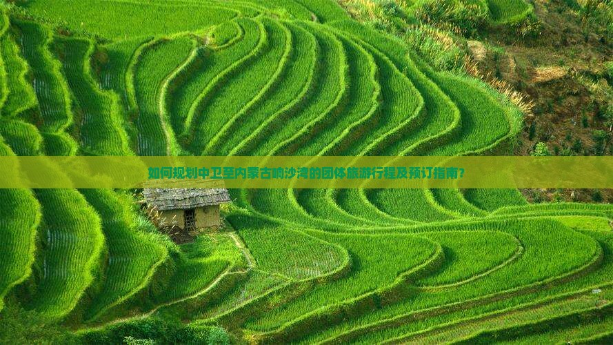 如何规划中卫至内蒙古响沙湾的团体旅游行程及预订指南？