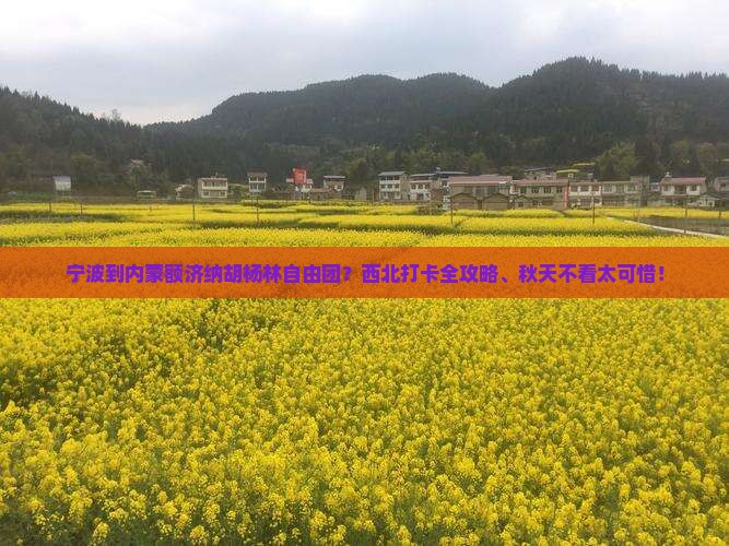 宁波到内蒙额济纳胡杨林自由团？西北打卡全攻略、秋天不看太可惜！