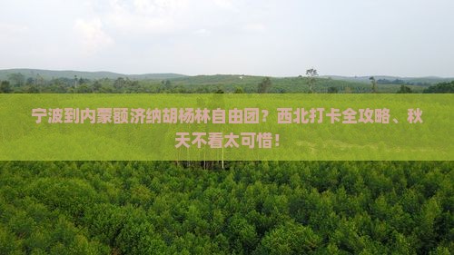 宁波到内蒙额济纳胡杨林自由团？西北打卡全攻略、秋天不看太可惜！