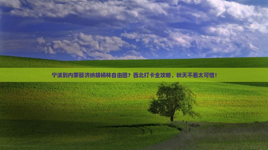 宁波到内蒙额济纳胡杨林自由团？西北打卡全攻略、秋天不看太可惜！