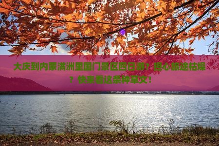 大庆到内蒙满洲里国门景区四日游？担心旅途枯燥？快来看这条种草文！