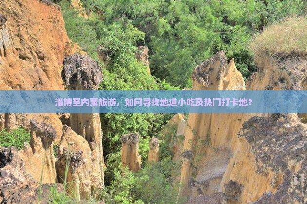 淄博至内蒙旅游，如何寻找地道小吃及热门打卡地？