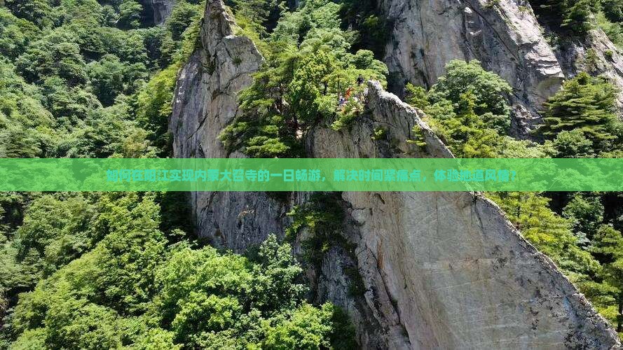 如何在阳江实现内蒙大召寺的一日畅游，解决时间紧痛点，体验地道风情？