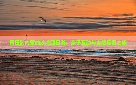 莆田到内蒙响沙湾四日游：亲子互动与自然探索之旅