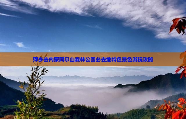 萍乡去内蒙阿尔山森林公园必去地特色景色游玩攻略