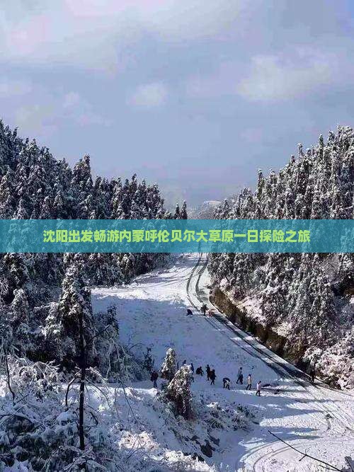 沈阳出发畅游内蒙呼伦贝尔大草原一日探险之旅