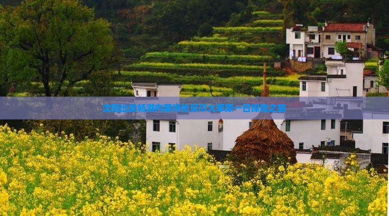 沈阳出发畅游内蒙呼伦贝尔大草原一日探险之旅