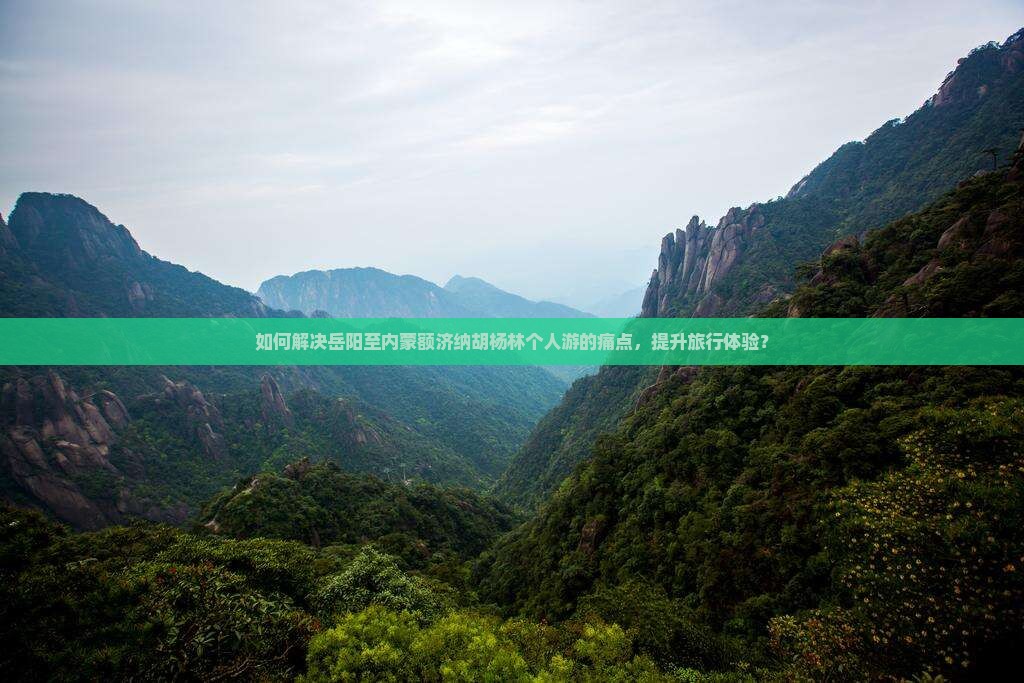 如何解决岳阳至内蒙额济纳胡杨林个人游的痛点，提升旅行体验？