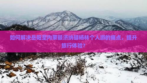 如何解决岳阳至内蒙额济纳胡杨林个人游的痛点，提升旅行体验？
