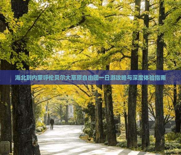 海北到内蒙呼伦贝尔大草原自由团一日游攻略与深度体验指南