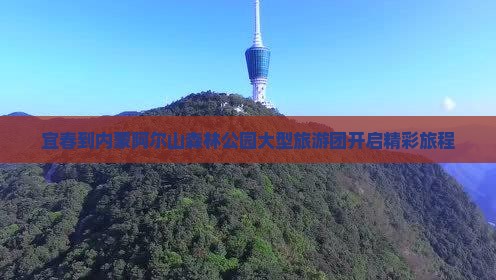 宜春到内蒙阿尔山森林公园大型旅游团开启精彩旅程
