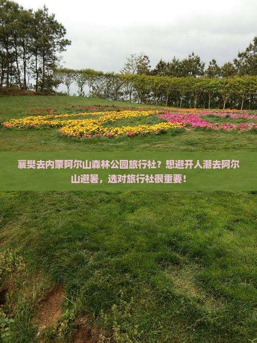 襄樊去内蒙阿尔山森林公园旅行社？想避开人潮去阿尔山避暑，选对旅行社很重要！