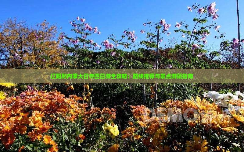 辽阳到内蒙大召寺四日游全攻略：路线推荐与景点游玩指南