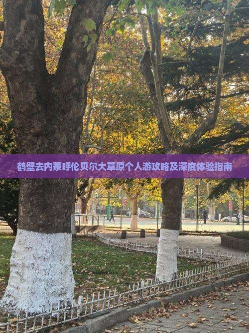 鹤壁去内蒙呼伦贝尔大草原个人游攻略及深度体验指南