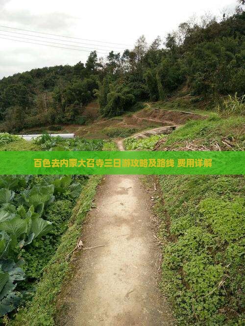 百色去内蒙大召寺三日游攻略及路线+费用详解