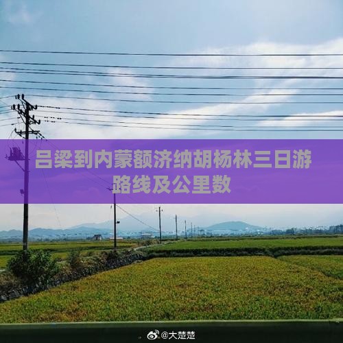 吕梁到内蒙额济纳胡杨林三日游路线及公里数
