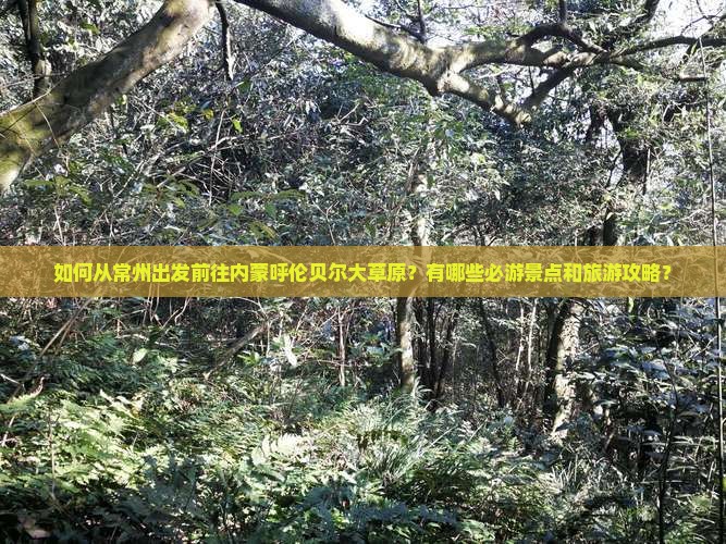 如何从常州出发前往内蒙呼伦贝尔大草原？有哪些必游景点和旅游攻略？