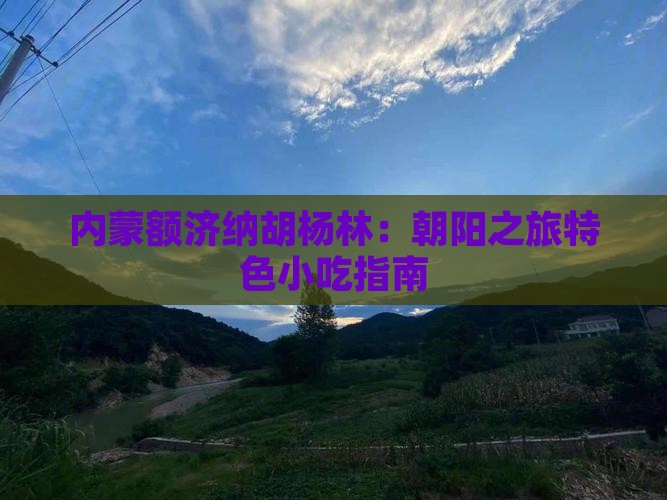 内蒙额济纳胡杨林：朝阳之旅特色小吃指南
