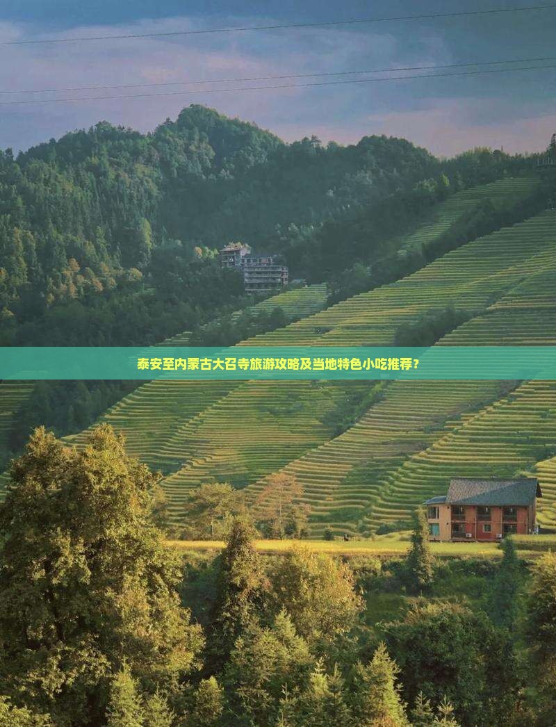 泰安至内蒙古大召寺旅游攻略及当地特色小吃推荐？