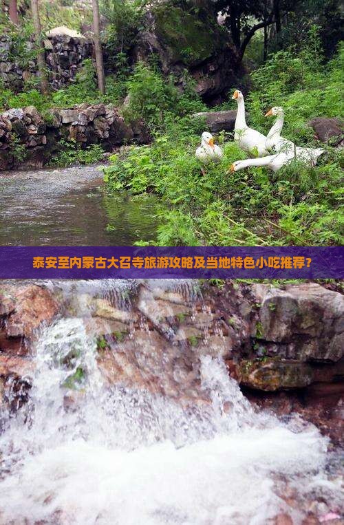 泰安至内蒙古大召寺旅游攻略及当地特色小吃推荐？