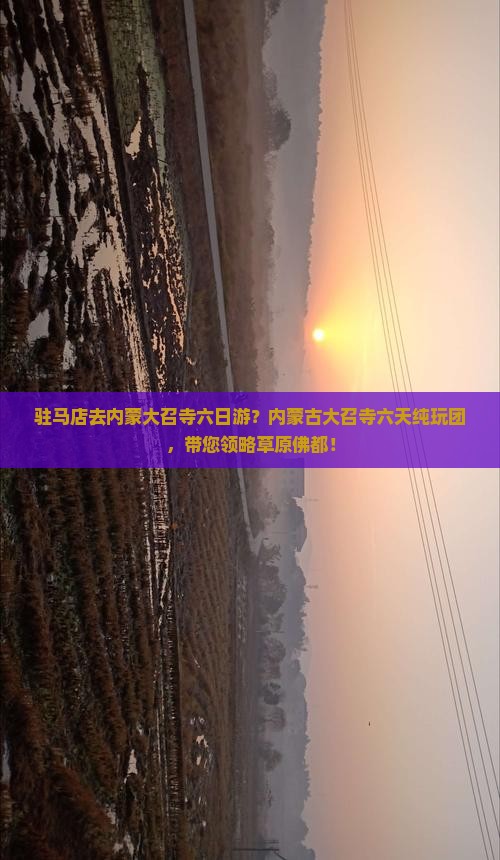 驻马店去内蒙大召寺六日游？内蒙古大召寺六天纯玩团，带您领略草原佛都！