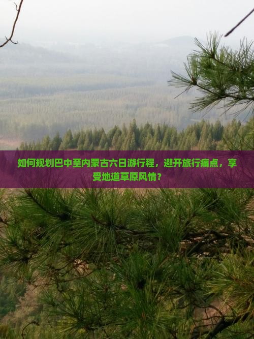 如何规划巴中至内蒙古六日游行程，避开旅行痛点，享受地道草原风情？