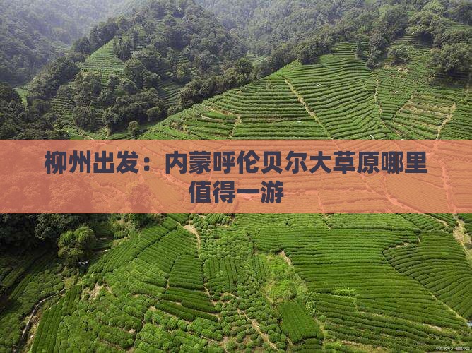 柳州出发：内蒙呼伦贝尔大草原哪里值得一游