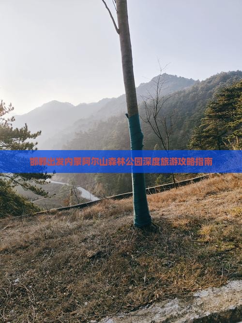 邯郸出发内蒙阿尔山森林公园深度旅游攻略指南