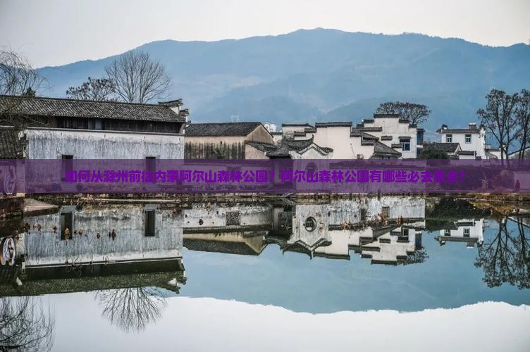如何从滁州前往内蒙阿尔山森林公园？阿尔山森林公园有哪些必去景点？