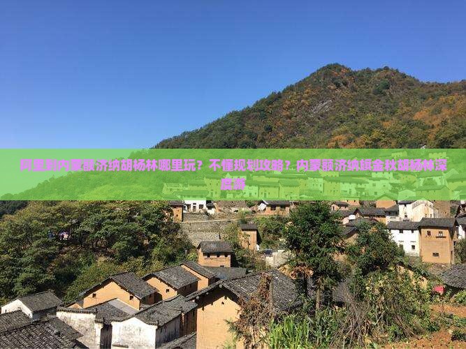 阿里到内蒙额济纳胡杨林哪里玩？不懂规划攻略？内蒙额济纳旗金秋胡杨林深度游