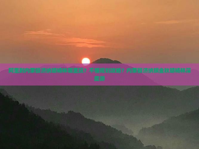 阿里到内蒙额济纳胡杨林哪里玩？不懂规划攻略？内蒙额济纳旗金秋胡杨林深度游