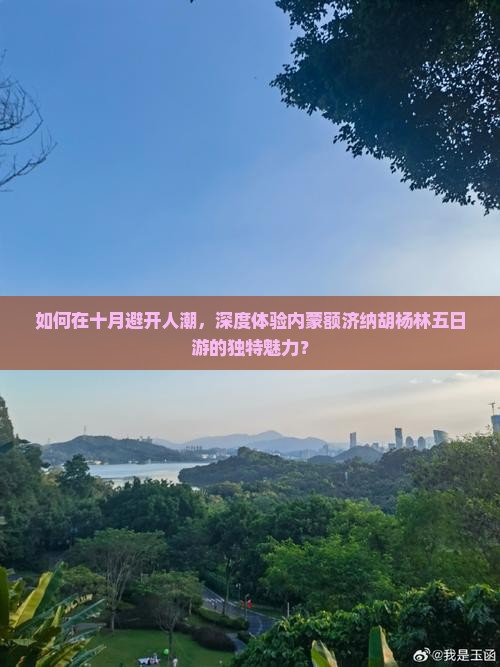 如何在十月避开人潮，深度体验内蒙额济纳胡杨林五日游的独特魅力？