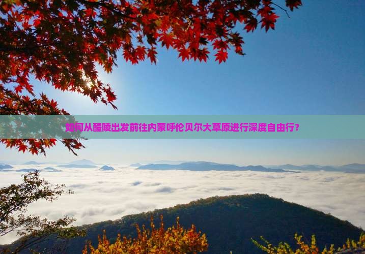 如何从醴陵出发前往内蒙呼伦贝尔大草原进行深度自由行？