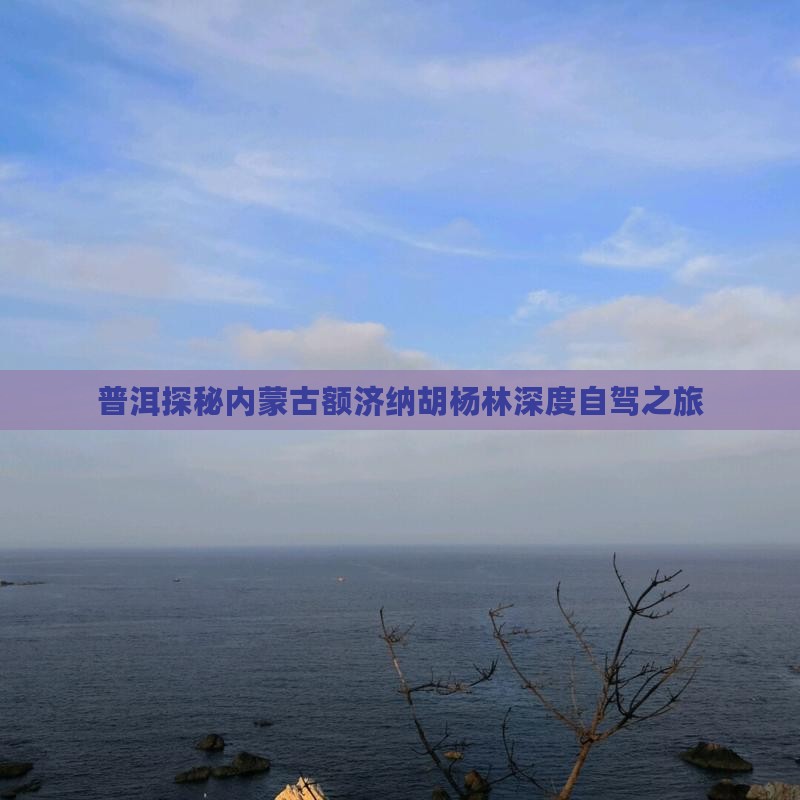 普洱探秘内蒙古额济纳胡杨林深度自驾之旅