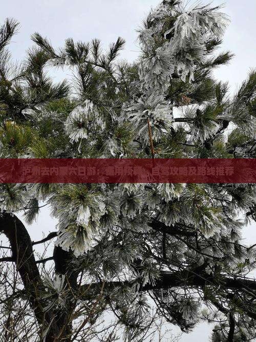 泸州去内蒙六日游：费用预算、自驾攻略及路线推荐