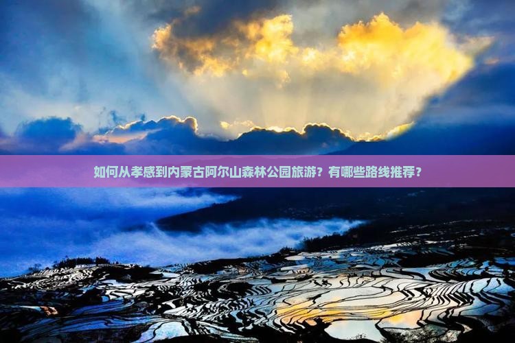 如何从孝感到内蒙古阿尔山森林公园旅游？有哪些路线推荐？