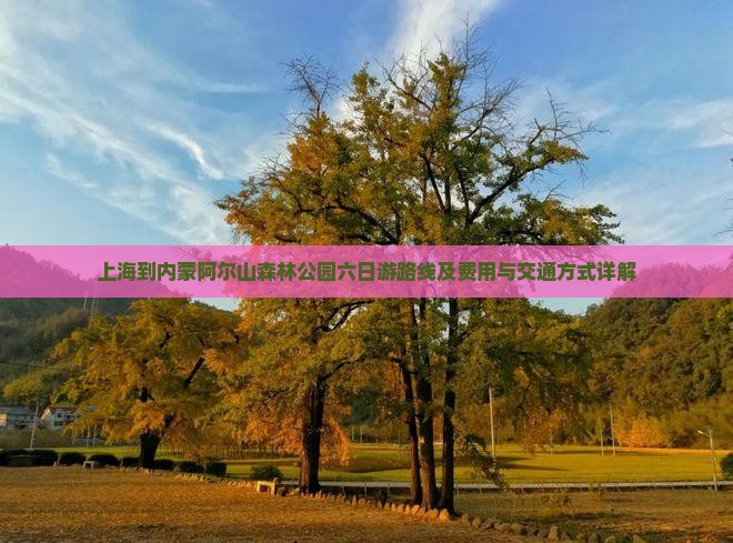 上海到内蒙阿尔山森林公园六日游路线及费用与交通方式详解