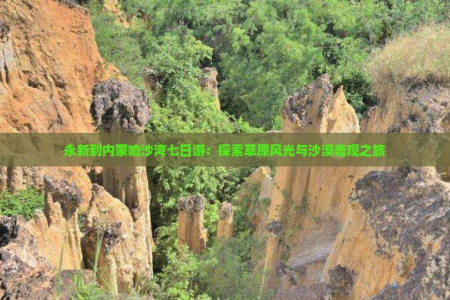 永新到内蒙响沙湾七日游：探索草原风光与沙漠奇观之旅