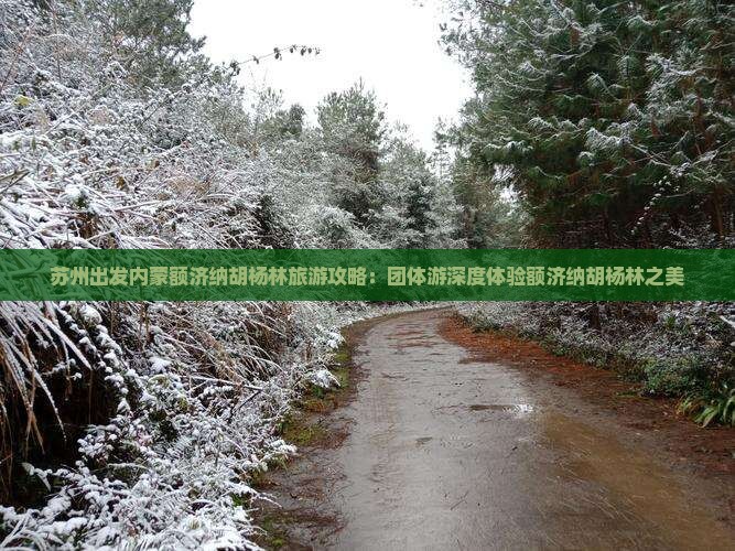 苏州出发内蒙额济纳胡杨林旅游攻略：团体游深度体验额济纳胡杨林之美
