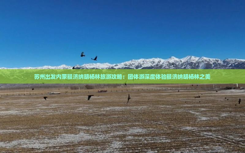苏州出发内蒙额济纳胡杨林旅游攻略：团体游深度体验额济纳胡杨林之美
